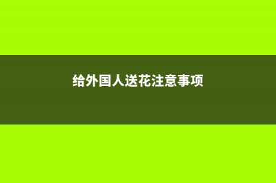 向外国人送花禁忌 (给外国人送花注意事项)