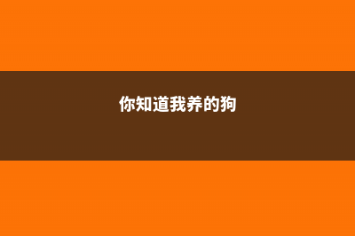 知道吗?你养的那些多肉,有些是能吃的!(你知道我养的狗)