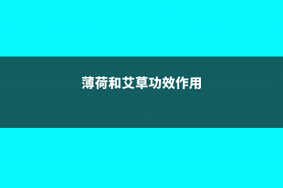 薄荷与艾草，驱虫又利身心 (薄荷和艾草功效作用)