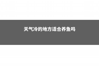 天气转冷家庭养花入室须谨慎 (天气冷的地方适合养鱼吗)