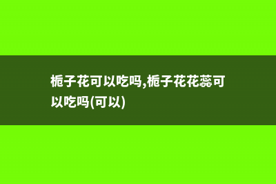 栀子花可以吃吗 (栀子花可以吃吗,栀子花花蕊可以吃吗(可以))