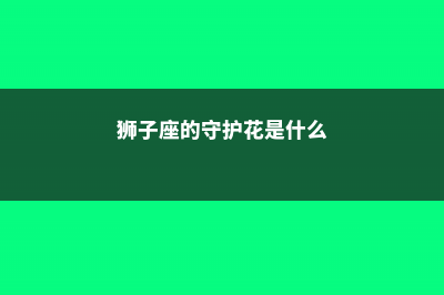 狮子座的守护植物——袖珍椰子 (狮子座的守护花是什么)