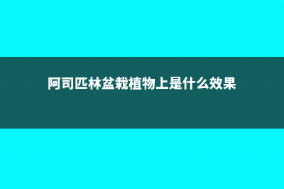 阿司匹林在盆栽中的应用 (阿司匹林盆栽植物上是什么效果)