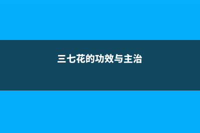 三七花的功效与作用及其适用人群 (三七花的功效与主治)