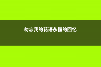 勿忘我的花语永恒的爱，浓情厚谊 – (勿忘我的花语永恒的回忆)