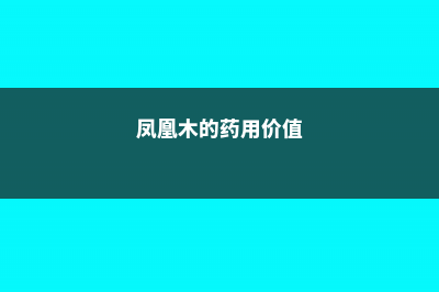 凤凰木的功效与作用 (凤凰木的药用价值)