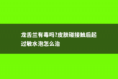 龙舌兰有毒吗，能不能家养 (龙舌兰有毒吗?皮肤碰接触后起过敏水泡怎么治)