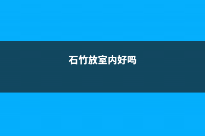 石竹的摆放技巧 (石竹放室内好吗)