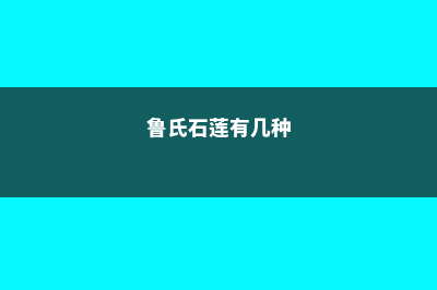 鲁氏石莲有毒吗，能家养吗 (鲁氏石莲有几种)