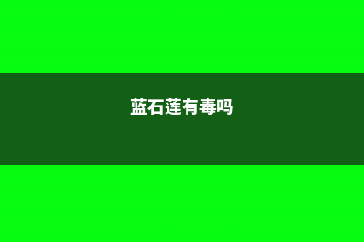 蓝石莲有毒吗,可以放室内养吗 – (蓝石莲有毒吗)