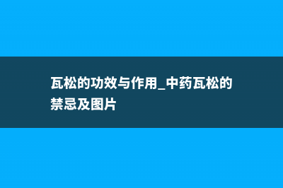 瓦松的功效与作用 (瓦松的功效与作用_中药瓦松的禁忌及图片)