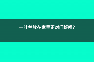 一叶兰放在家里哪养好 (一叶兰放在家里正对门好吗?)