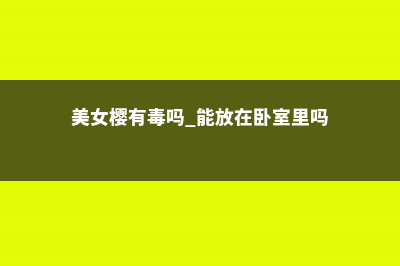 美女樱有毒吗?可以放在室内养护吗 (美女樱有毒吗 能放在卧室里吗)