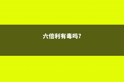 六倍利的药用价值 (六倍利有毒吗?)