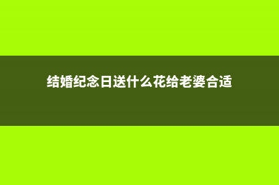 结婚纪念日送什么花 (结婚纪念日送什么花给老婆合适)