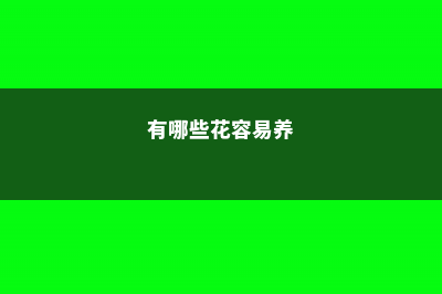 警惕!九种花易导致孕妇流产 (有哪些花容易养)