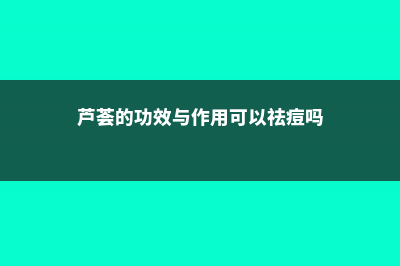 芦荟的功效与作用 (芦荟的功效与作用可以祛痘吗)