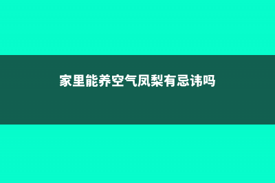 家中养空气凤梨有什么好处 (家里能养空气凤梨有忌讳吗)