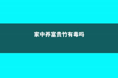 家中养富贵竹有什么好处 (家中养富贵竹有毒吗)