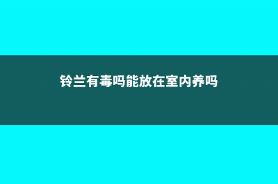 铃兰有毒吗 (铃兰有毒吗能放在室内养吗)