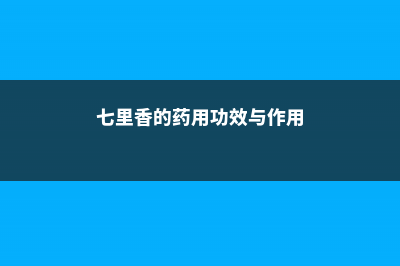 七里香的药用功效与价值 (七里香的药用功效与作用)