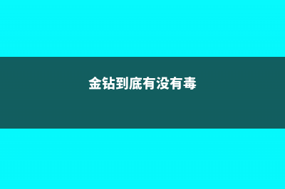 金钻有毒吗,可以放在卧室吗 (金钻到底有没有毒)