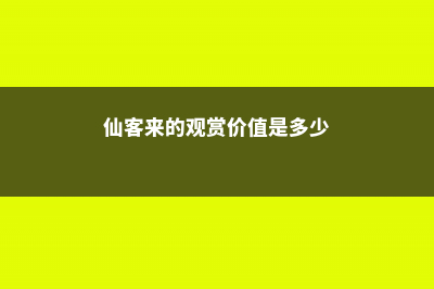 仙客来的观赏价值 (仙客来的观赏价值是多少)