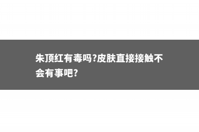 朱顶红有毒吗 (朱顶红有毒吗?皮肤直接接触不会有事吧?)