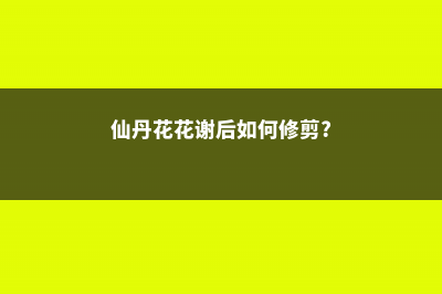 仙丹花有毒吗,可以放在室内养吗? (仙丹花花谢后如何修剪?)