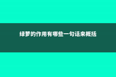 绿萝的作用有哪些 (绿萝的作用有哪些一句话来概括)