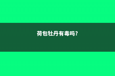 荷包牡丹的功效和作用 (荷包牡丹有毒吗?)