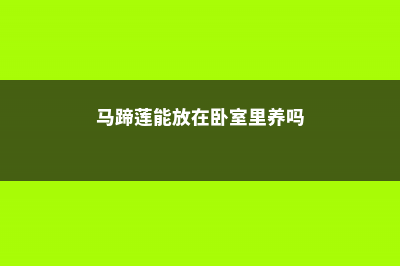 马蹄莲能放在卧室吗 (马蹄莲能放在卧室里养吗)