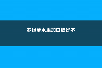 水培绿萝加白糖能生根吗 (养绿萝水里加白糖好不)