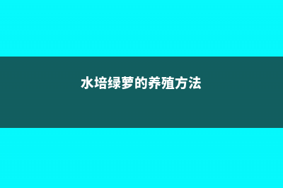 水培绿萝的养殖方法和注意事项 (水培绿萝的养殖方法)