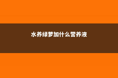 水养绿萝加什么长得快 (水养绿萝加什么营养液)