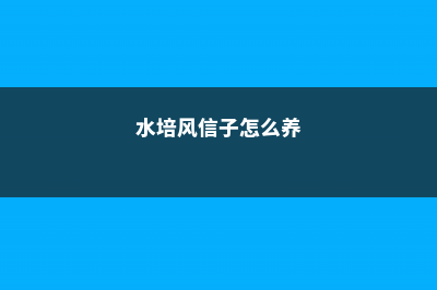 水培风信子怎么养 (水培风信子怎么养)