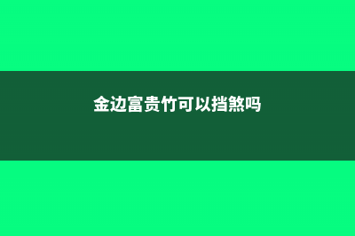 金边富贵竹可以水养吗 (金边富贵竹可以挡煞吗)