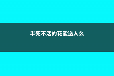 半死不活的花，随手丢水里，竟然起死回生，爆盆长疯了！ (半死不活的花能送人么)