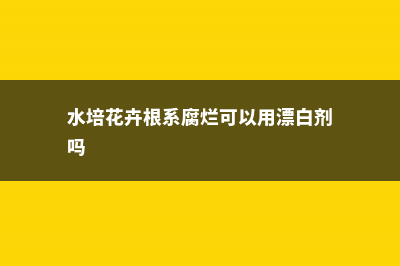 水培花卉根系腐烂如何处理 (水培花卉根系腐烂可以用漂白剂吗)