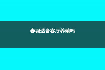 春羽,适合客厅养的水养植物 (春羽适合客厅养殖吗)