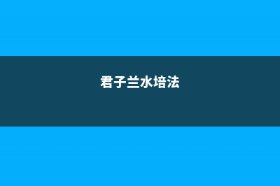 水培君子兰大全 (君子兰水培法)