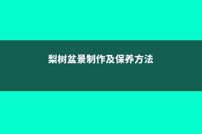 梨树盆景制作及养护 (梨树盆景制作及保养方法)