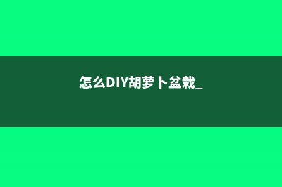 怎么DIY胡萝卜盆栽 