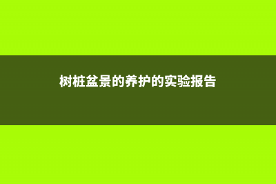 树桩盆景的养护 (树桩盆景的养护的实验报告)