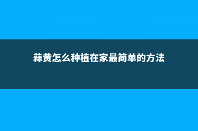 蒜黄怎么种植，什么是蒜黄 (蒜黄怎么种植在家最简单的方法)