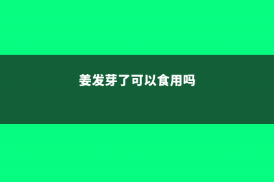 “姜”发芽可别扔，埋在土里，3个月长出“鲜姜”，一冬天不用买！ (姜发芽了可以食用吗)