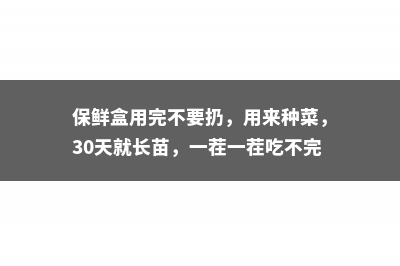 保鲜盒用完不要扔，用来种菜，30天就长苗，一茬一茬吃不完！ 