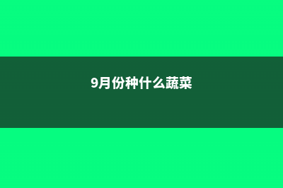 九月份种什么蔬菜 (9月份种什么蔬菜)