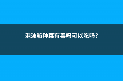 泡沫箱种菜有毒吗 (泡沫箱种菜有毒吗可以吃吗?)