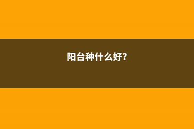 阳台种这“3种”菜，平时洒洒水，30天就能上餐桌 (阳台种什么好?)